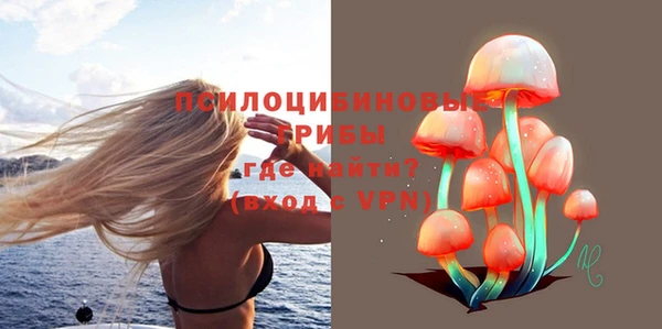 гидропоника Арсеньев