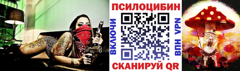 Галлюциногенные грибы Psilocybine cubensis  Суворов 