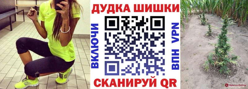 сколько стоит  OMG ONION  Шишки марихуана сатива  Суворов 
